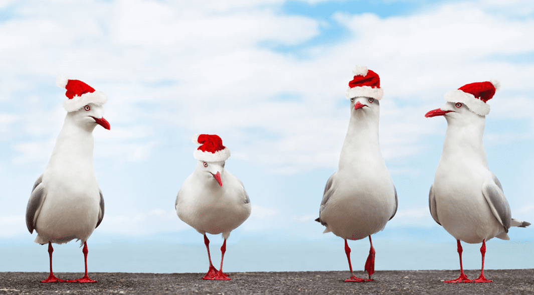 How to survive the Christmas cash flow crunch